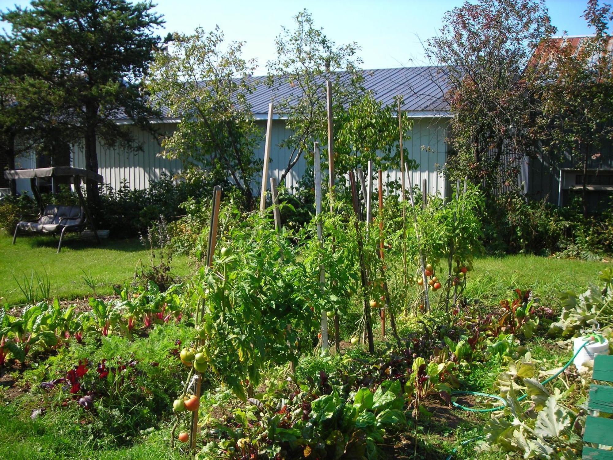 Gite Des Hauteurs Et Cafe De La Place Saint Zenon Exterior photo